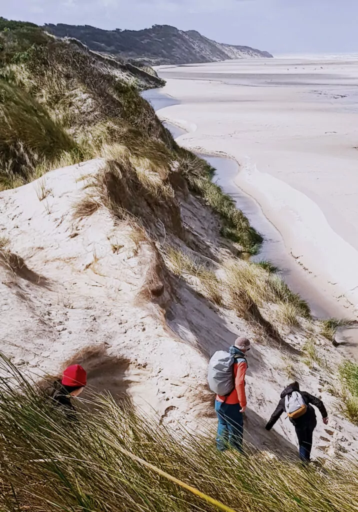 Small group tour Tasmania